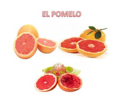 No se conoce con exactitud el origen del pomelo aunque numerosas investigaciones señala que se trata de un cruce natural entre el naranjo dulce y el pummelo.
