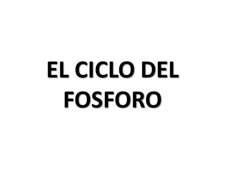 EL CICLO DEL FOSFORO.