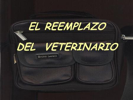 EL REEMPLAZO DEL VETERINARIO Dicen que un día en una veterinaria habían faltado varios médicos veterinarios porque estaban enfermos y la Guardia quedaba.