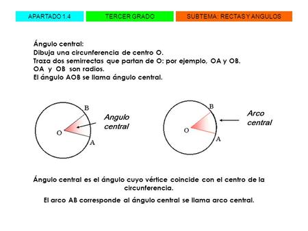 El arco AB corresponde al ángulo central se llama arco central.