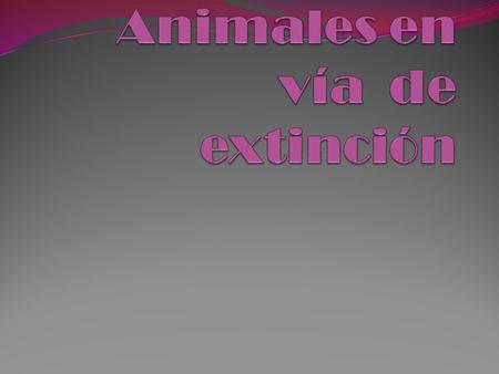 En términos biológicos, se considera a la extinción como un fenómeno completamente natural resultado de un proceso en el que una especie se origina a.