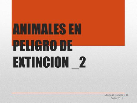 ANIMALES EN PELIGRO DE EXTINCION _2