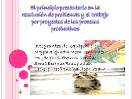 El principio precautorio en la resolución de problemas y el trabajo por proyectos de los procesos productivos Integrantes del equipoN°5 : Mayra Alejandra.
