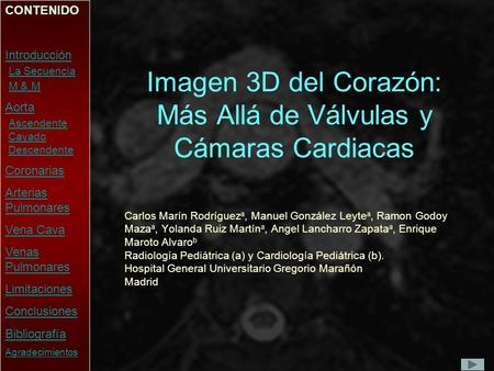 Imagen 3D del Corazón: Más Allá de Válvulas y Cámaras Cardiacas