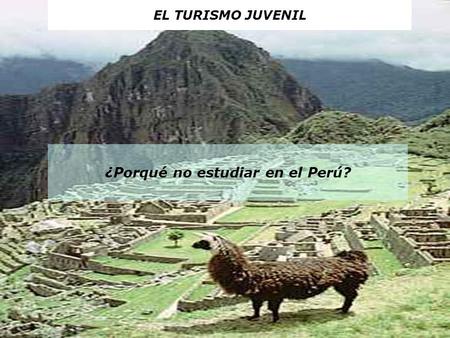 ¿Porqué no estudiar en el Perú? EL TURISMO JUVENIL.