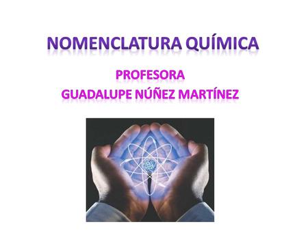 Profesora Guadalupe Núñez Martínez
