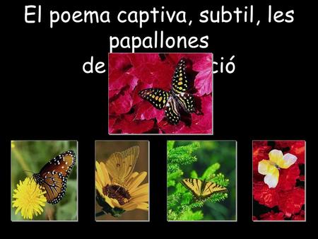 El poema captiva, subtil, les papallones de la imaginació