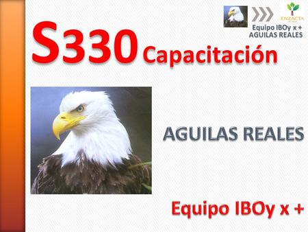 S330 Capacitación AGUILAS REALES Equipo IBOy x + Equipo IBOy x +