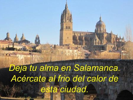 Deja tu alma en Salamanca. Acércate al frio del calor de esta ciudad.