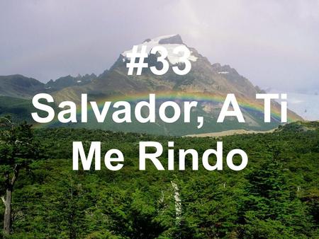 #33 Salvador, A Ti Me Rindo.