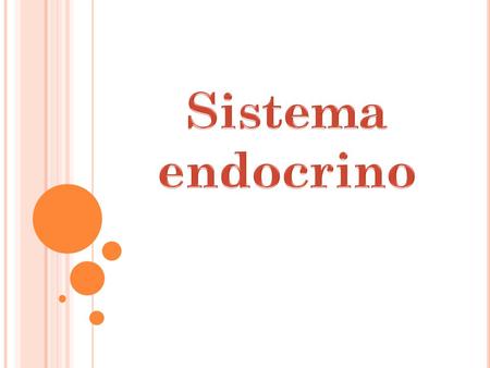 Sistema endocrino.