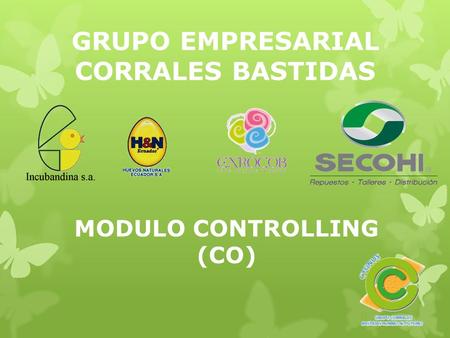 GRUPO EMPRESARIAL CORRALES BASTIDAS MODULO CONTROLLING (CO)