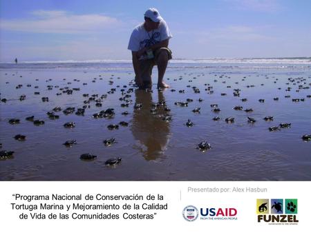 Programa Nacional de Conservación de la Tortuga Marina y Mejoramiento de la Calidad de Vida de las Comunidades Costeras Presentado por: Alex Hasbun.