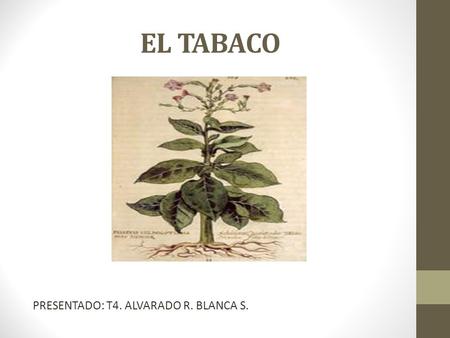 EL TABACO PRESENTADO: T4. ALVARADO R. BLANCA S..