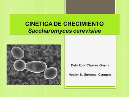 CINETICA DE CRECIMIENTO Saccharomyces cerevisiae
