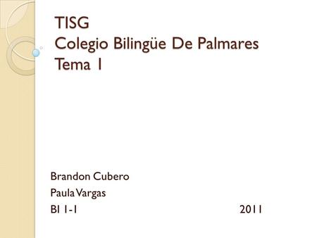 TISG Colegio Bilingüe De Palmares Tema 1