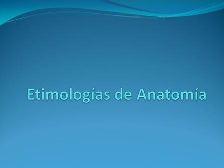 Etimologías de Anatomía