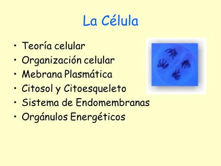 La Célula Teoría celular Organización celular Mebrana Plasmática