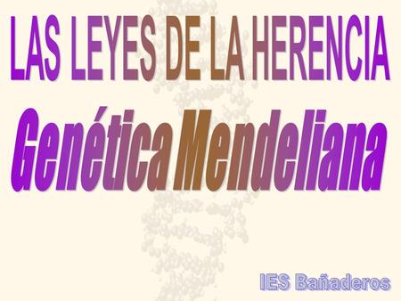 LAS LEYES DE LA HERENCIA