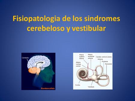 Fisiopatologia de los sindromes cerebeloso y vestibular