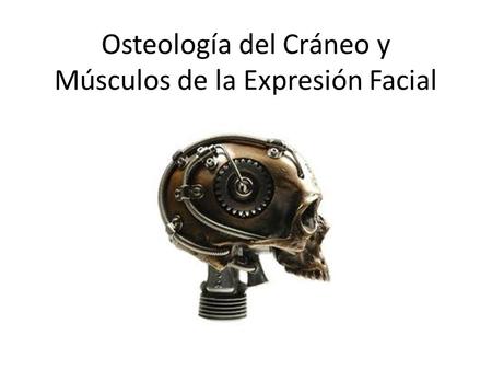 Osteología del Cráneo y Músculos de la Expresión Facial