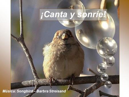 ¡Canta y sonríe! Música: Songbird – Barbra Streisand.