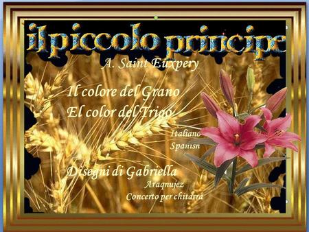 A. Saint Euxpery Il colore del Grano El color del Trigo Italiano Spanish Disegni di Gabriella Araqnujez Concerto per chitarra.