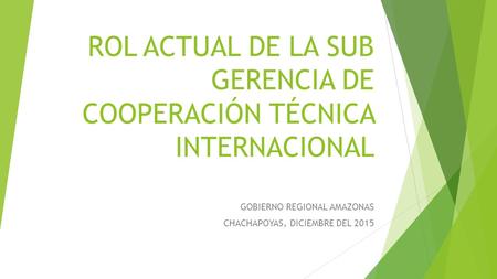 ROL ACTUAL DE LA SUB GERENCIA DE COOPERACIÓN TÉCNICA INTERNACIONAL GOBIERNO REGIONAL AMAZONAS CHACHAPOYAS, DICIEMBRE DEL 2015.