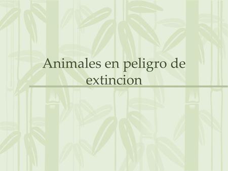 Animales en peligro de extincion