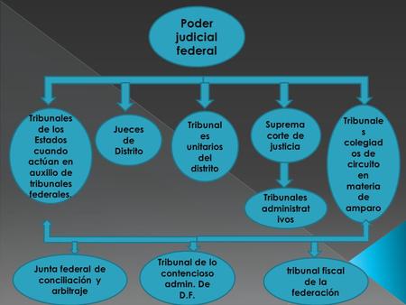 Poder judicial federal