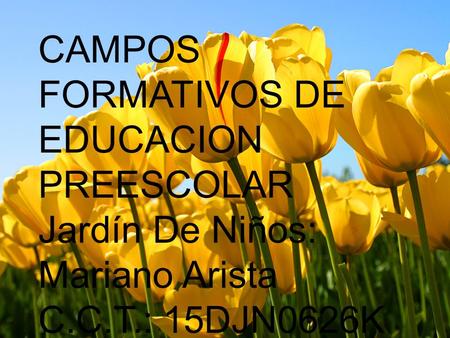 CAMPOS FORMATIVOS DE EDUCACION PREESCOLAR