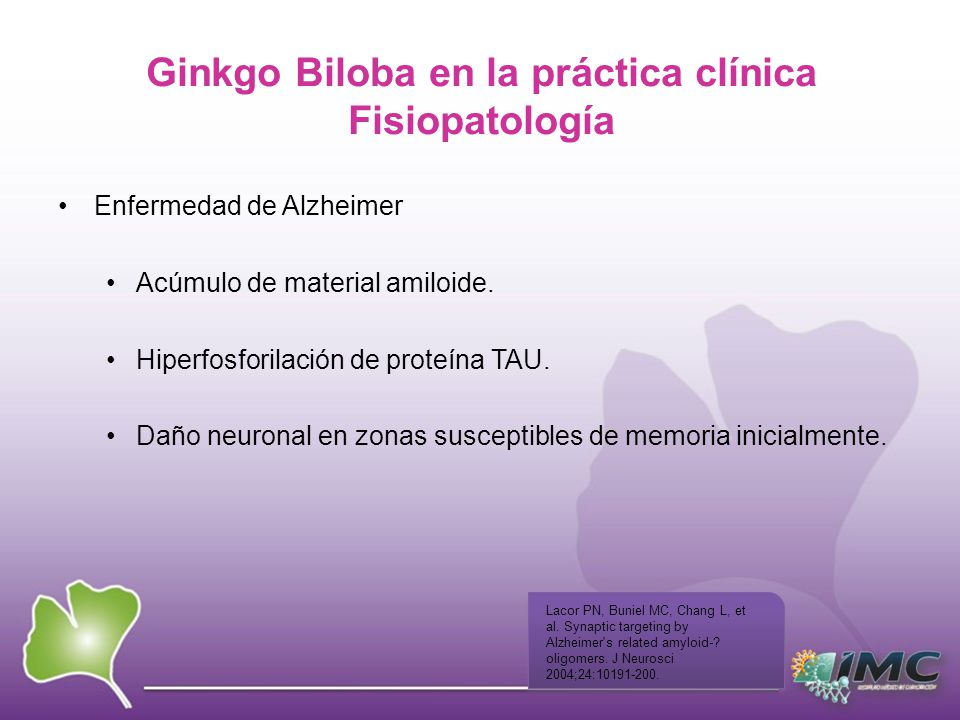 GINKGO BILOBA EN LA PRÁCTICA CLÍNICA Síndrome demencial GINKGO BILOBA EN LA PRÁCTICA CLÍNICA Síndrome demencial
