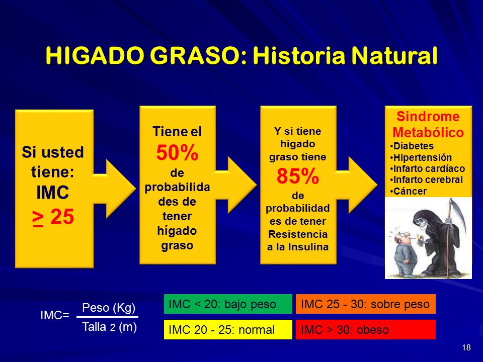 HIGADO GRASO y SINDROME METABOLICO - ppt video online HIGADO GRASO y SINDROME METABOLICO - ppt video online