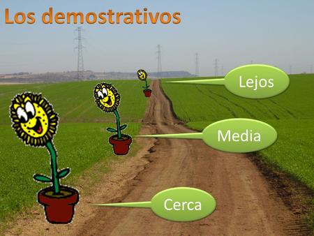 Los demostrativos Lejos Media Cerca.