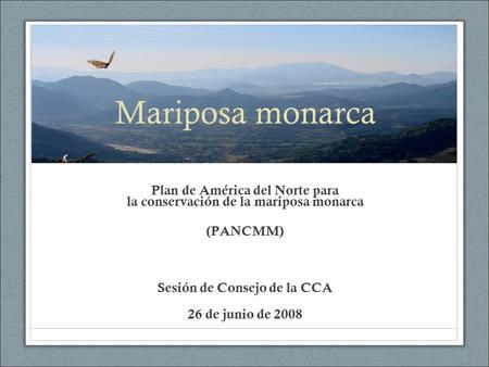 Plan de América del Norte para la conservación de la mariposa monarca (PANCMM) Sesión de Consejo de la CCA 26 de junio de 2008 Mariposa monarca.