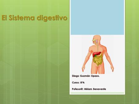 El Sistema digestivo Diego Guzmán Opazo. Curso: 8ªA Miriam Benavente.