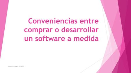 Conveniencias entre comprar o desarrollar un software a medida Antonella Visgarra LU:18550.