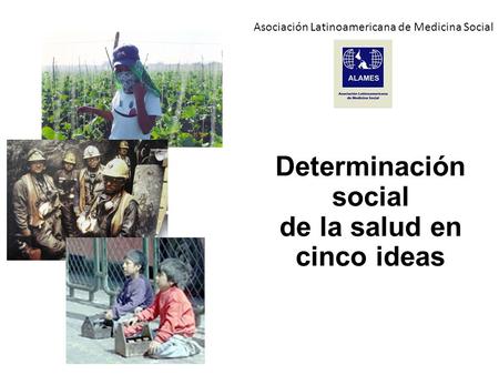 Ser codificado del alcoholismo en vitebske las revocaciones