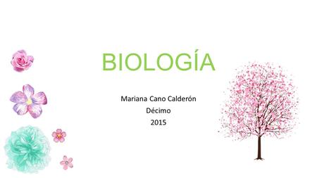 BIOLOGÍA Mariana Cano Calderón Décimo 2015. Efecto invernadero Es un fenómeno por el cual ciertos gases retienen parte de la energía emitida por el suelo.