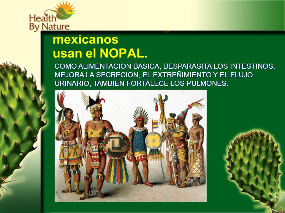 EXTRACTO DEL NOPAL. - ppt video online descargar EXTRACTO DEL NOPAL. - ppt video online descargar