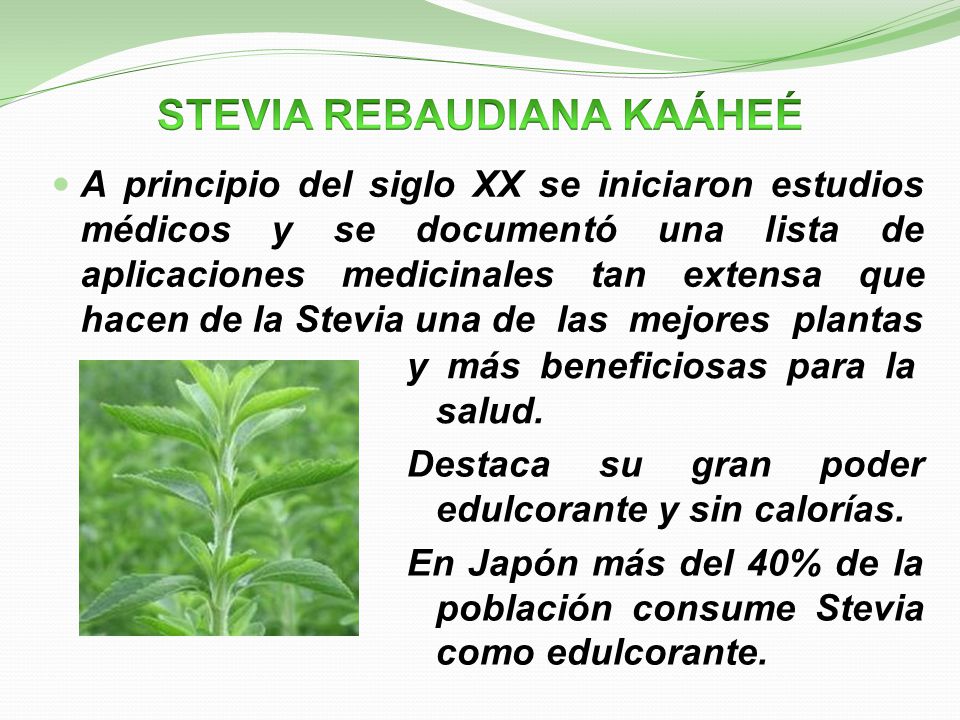 STEVIA REBAUDIANA KAÁHEÉ - ppt descargar STEVIA REBAUDIANA KAÁHEÉ - ppt descargar