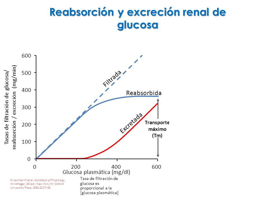 Inhibidores de SLGT-2 (Glucosúricos) en el tratamiento de Inhibidores de SLGT-2 (Glucosúricos) en el tratamiento de