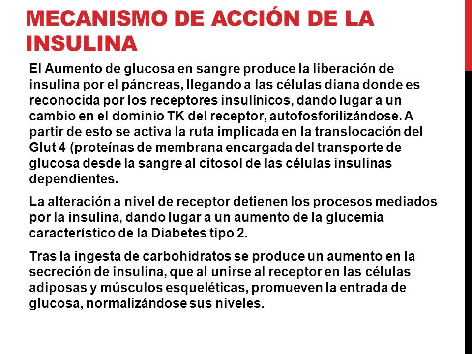Síndrome Metabólico: Diabetes Tipo 2 - ppt descargar Síndrome Metabólico: Diabetes Tipo 2 - ppt descargar