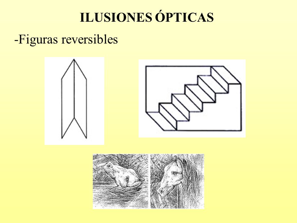 Ilusiones Opticas Reversibles | percepci 211 n visual ppt descargar Ilusiones Opticas Reversibles | percepci 211 n visual ppt descargar