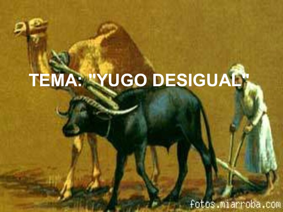 yugo desigual