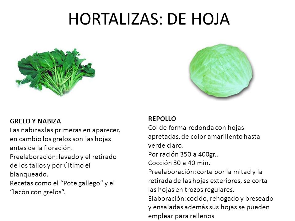 HORTALIZAS: CLASIFICACIÓN - ppt video online descargar HORTALIZAS: CLASIFICACIÓN - ppt video online descargar