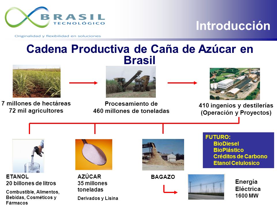 cadena productiva azucar perspectivas tecnolog 237 as y oportunidades de negocios cadena productiva azucar perspectivas tecnolog 237 as y oportunidades de negocios