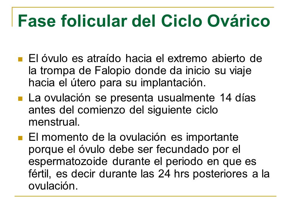 Anatomía y fisiología del Sistema Reproductor Masculino y Anatomía y fisiología del Sistema Reproductor Masculino y