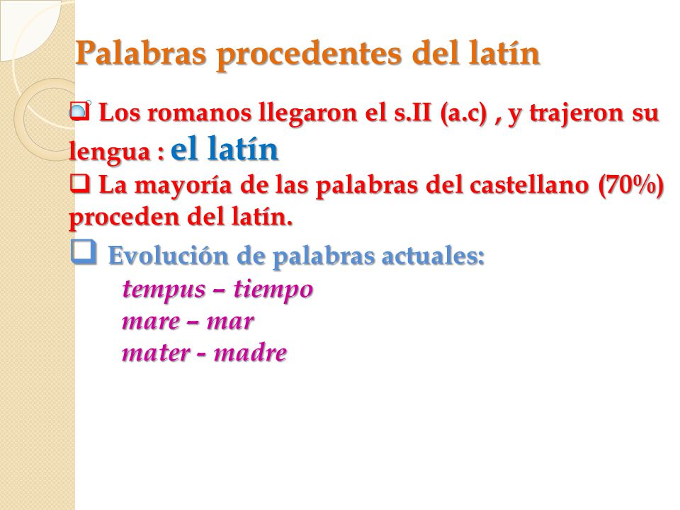 Palabras Procedentes Del Latin 13