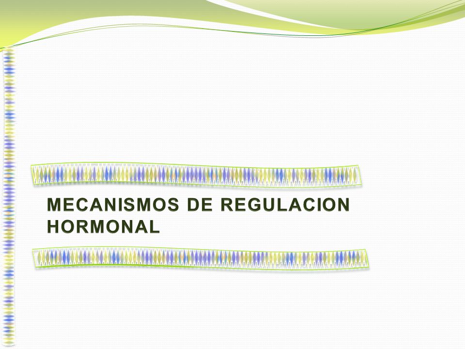 MECANISMOS DE REGULACION - ppt descargar MECANISMOS DE REGULACION - ppt descargar